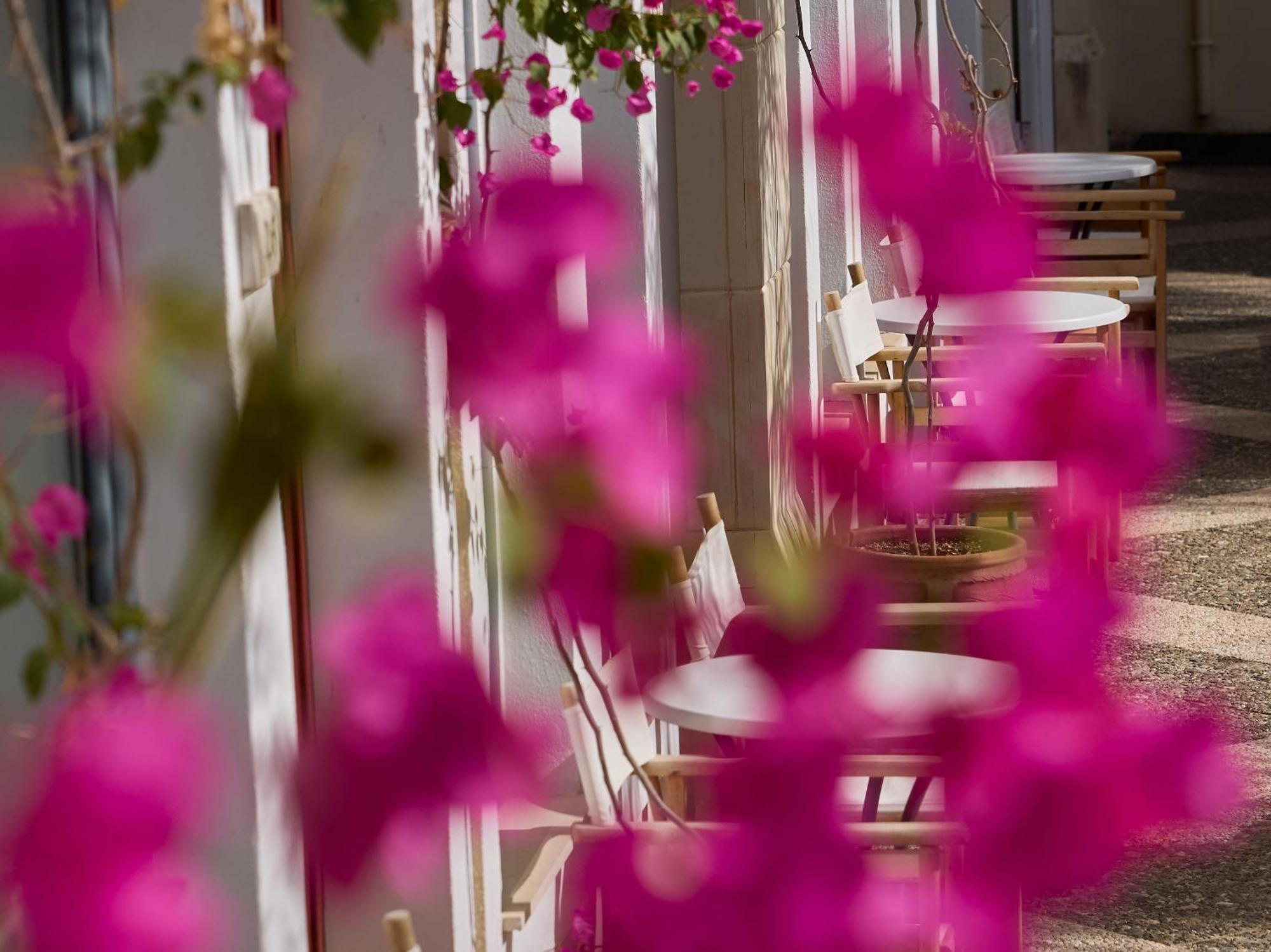 Grecotel Plaza Beach House Ретимно Экстерьер фото